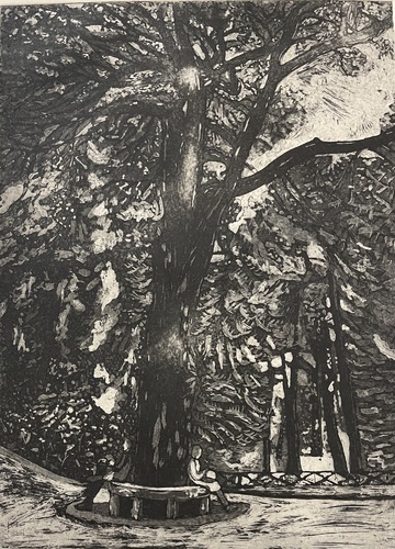 Gravure Florence Sagittario jardin des plantes